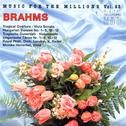 Music For The Millions Vol. 23 - Johannes Brahms专辑