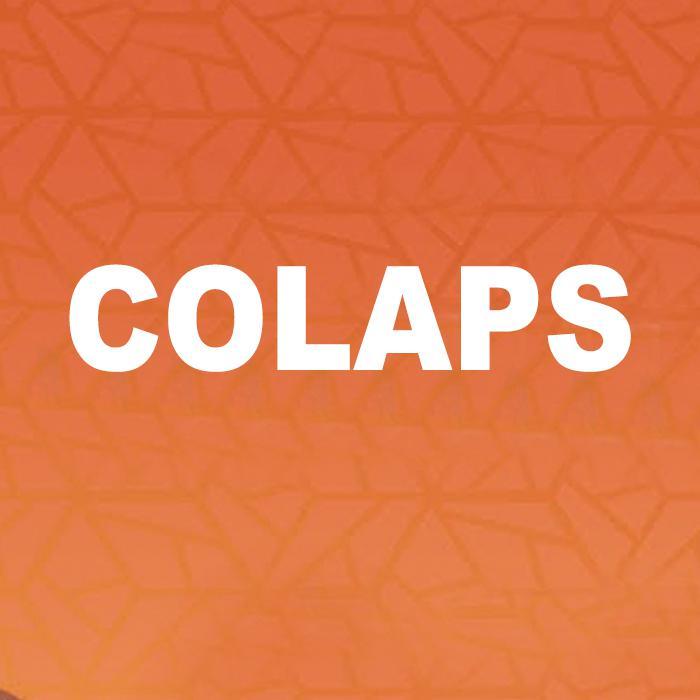 回炉重造之法国冠军COLAPS