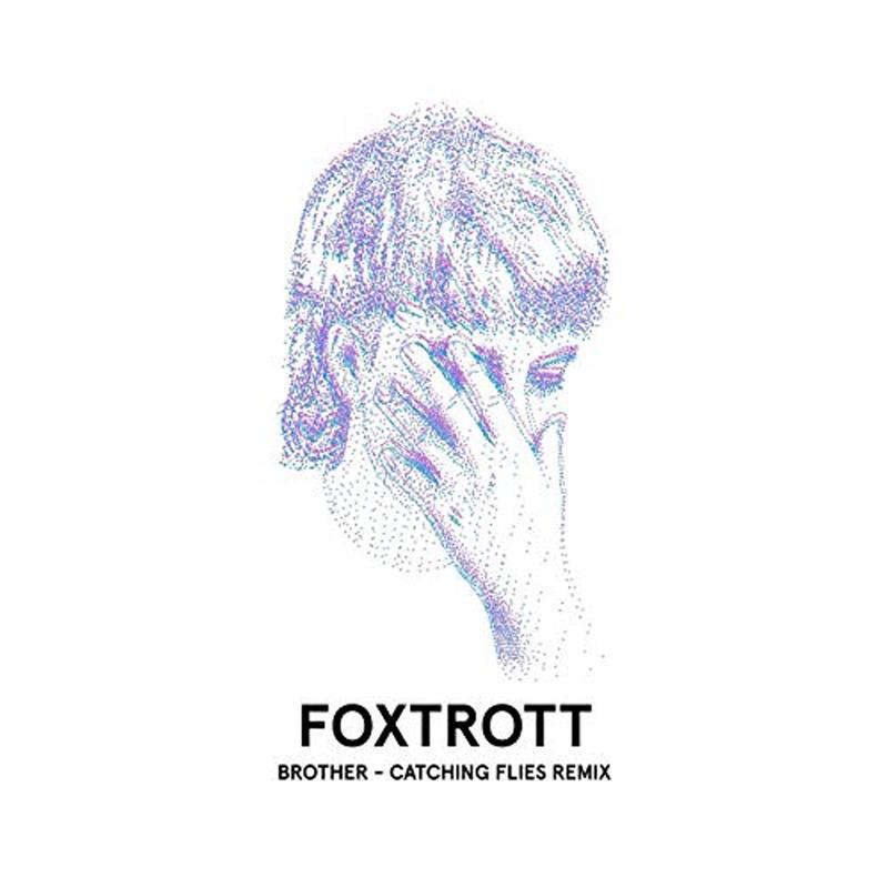 Brother (Catching Flies Remix)