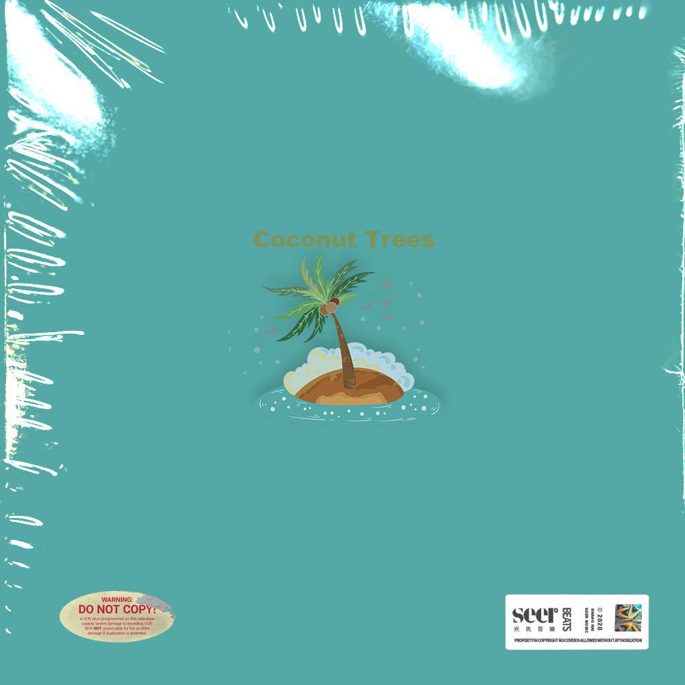 Coconut Trees