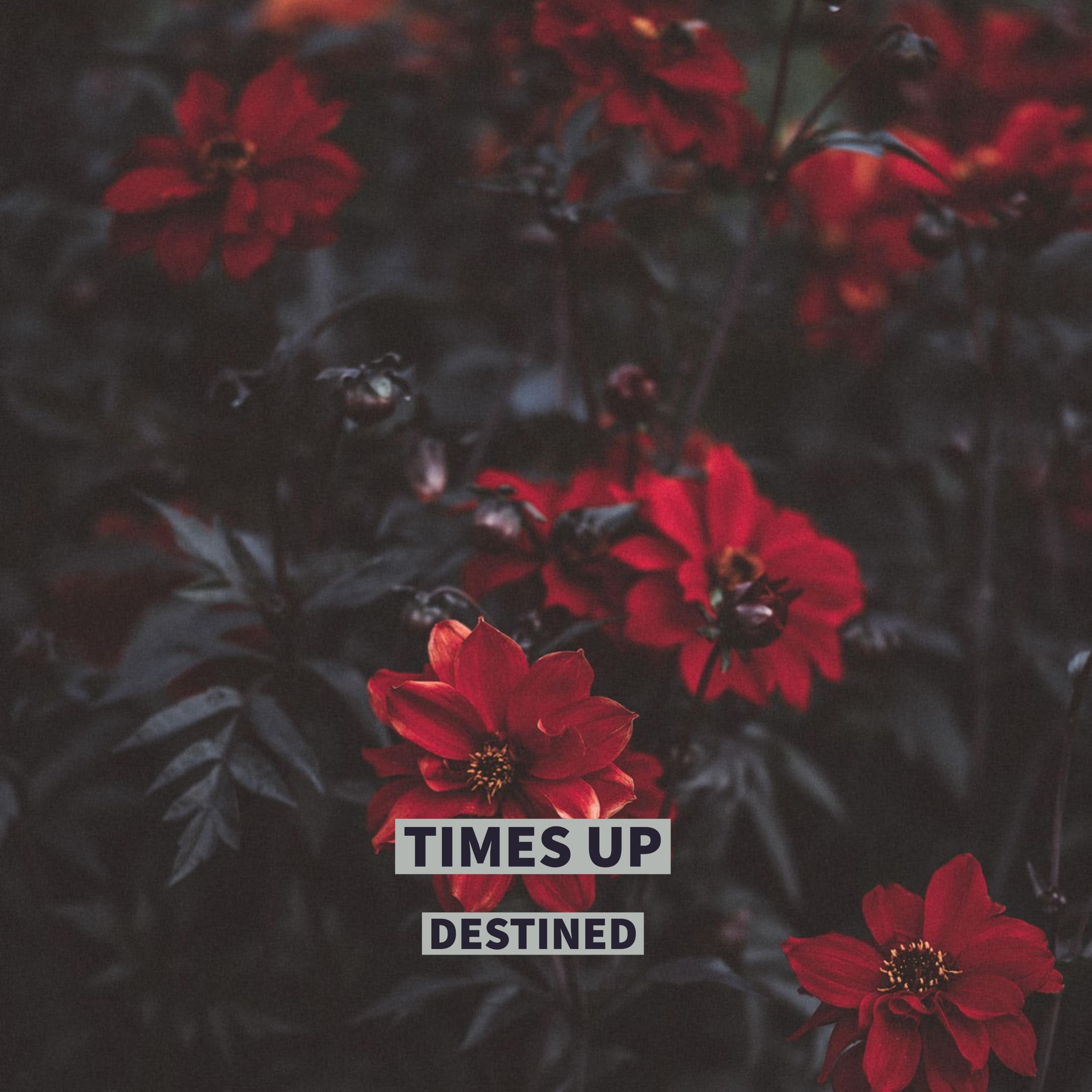 Times Up