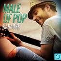 Male of Pop Karaoke专辑