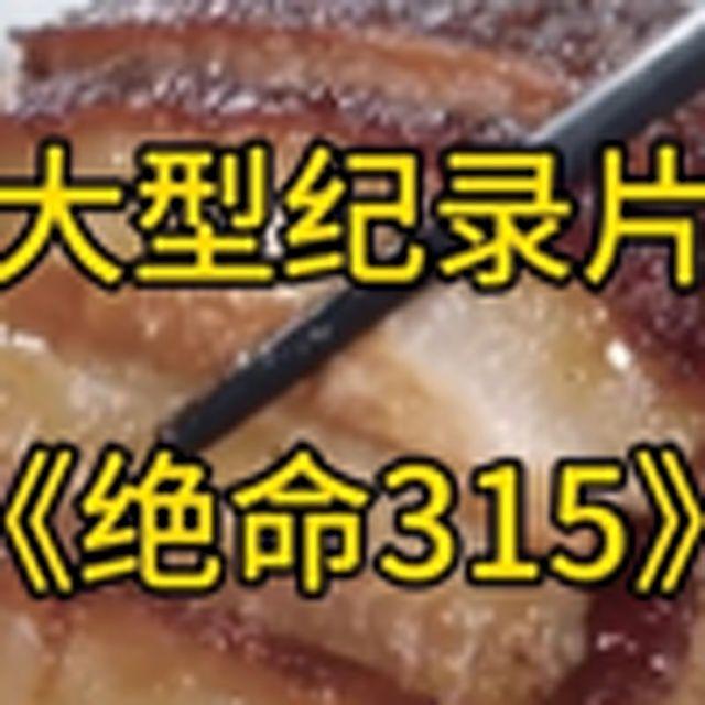 大型纪录片《绝命315》