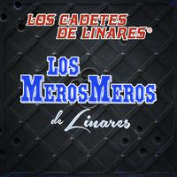 Los Cadetes De Linares - En Tu Boda (karaoke)