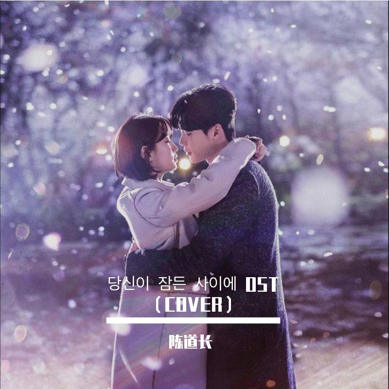 당신이 잠든 사이에 OST（COVER）