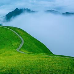 嫁错人不如单身-任夏