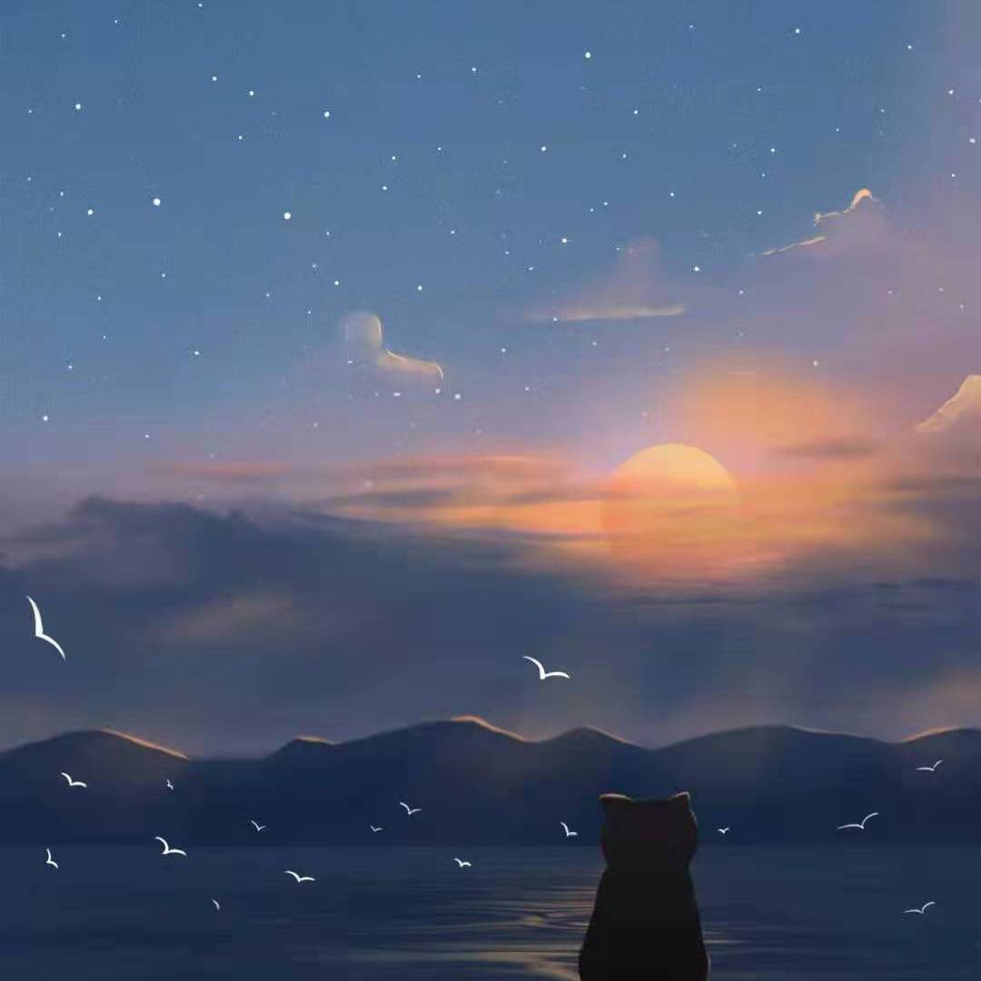 罗罗诺亚·索隆