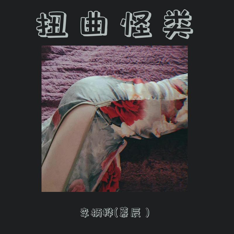 李柄桦 - 李将军