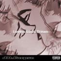 Love is Lucid Dream专辑
