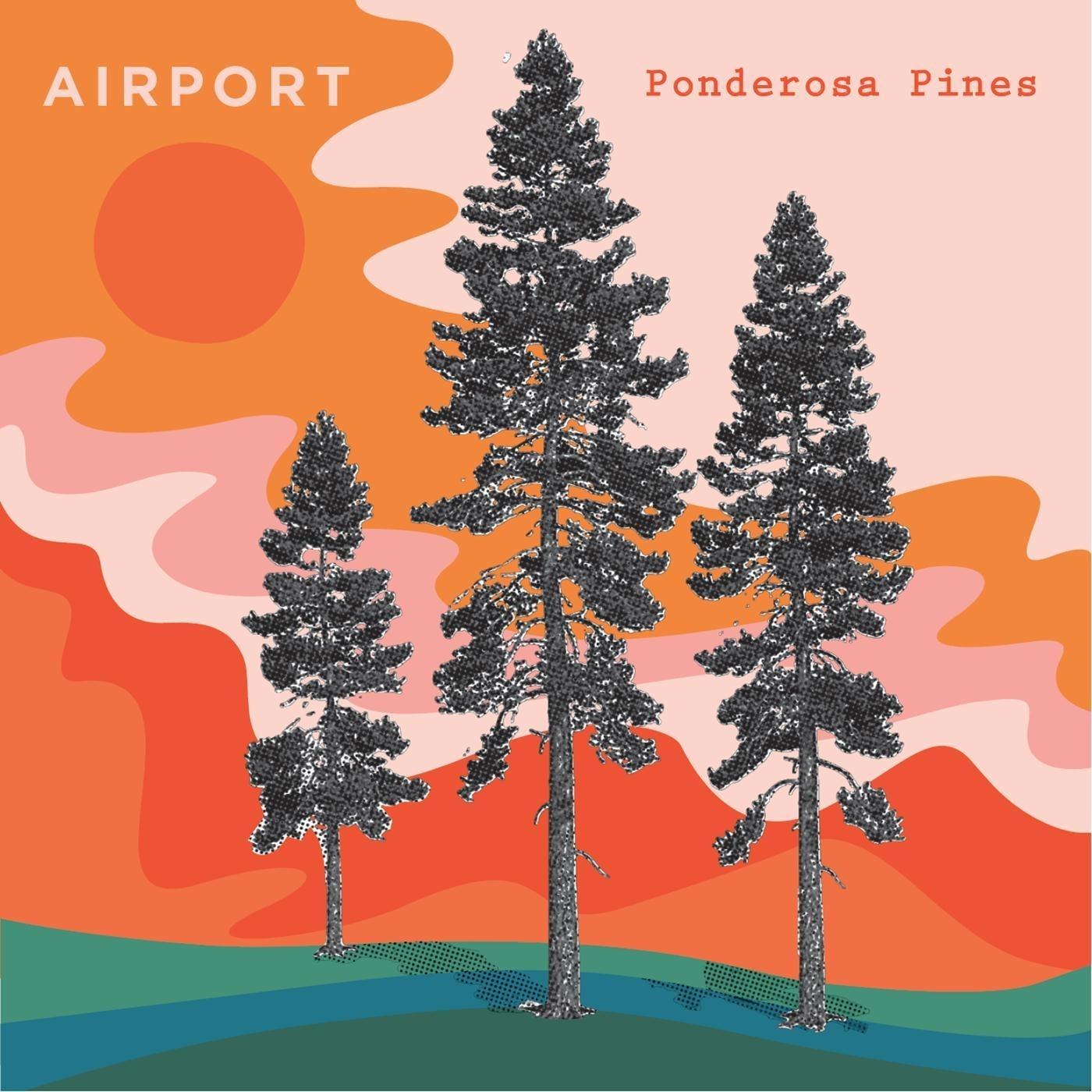 Ponderosa Pines