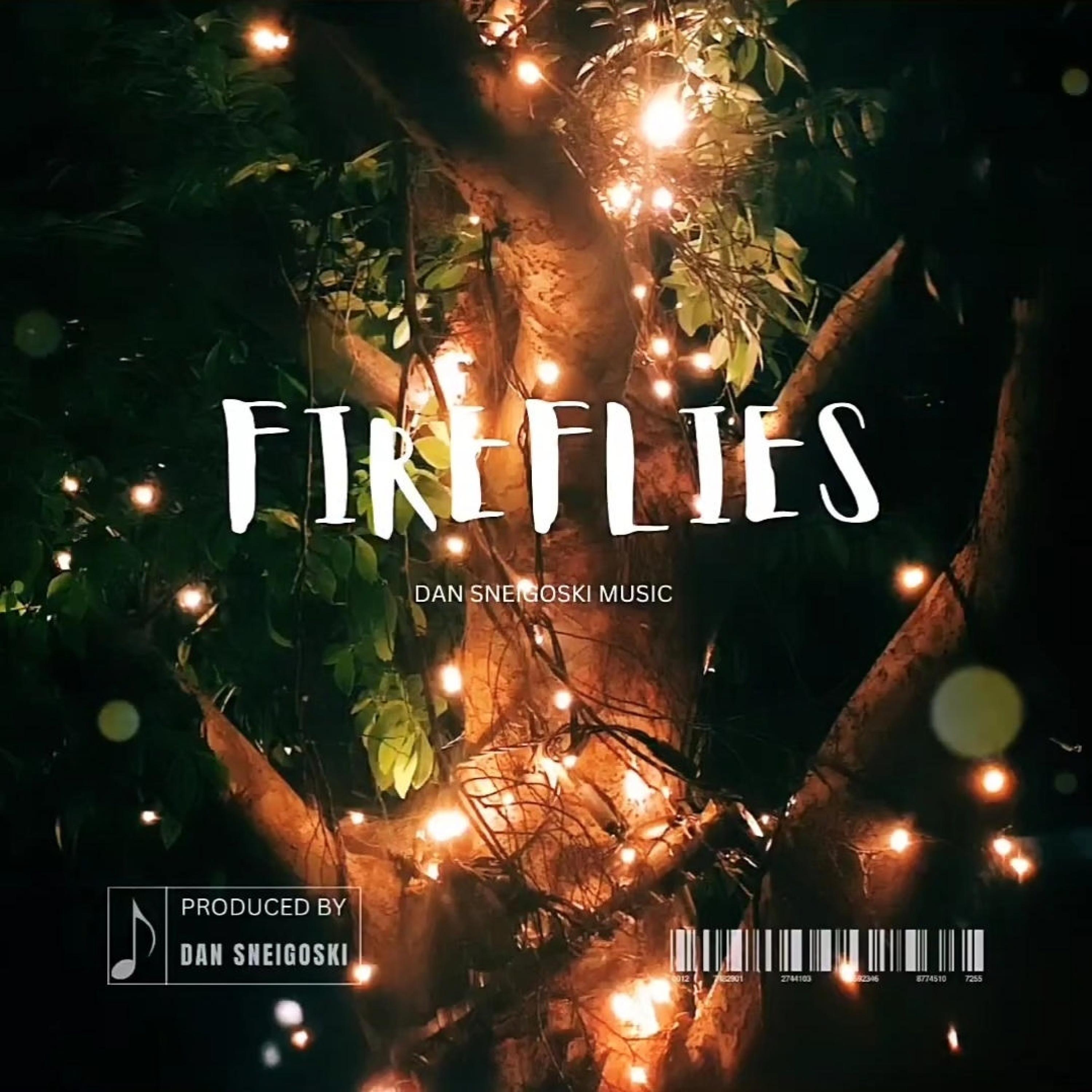 DSM - Fireflies