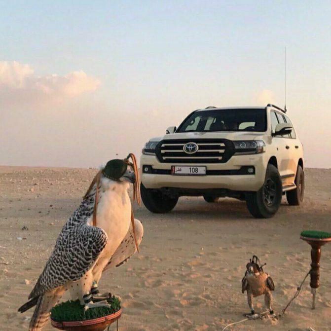 Gangnam Style(DZYZ REMIX)（翻自 Gangnam Style(DZYZ REMIX)）