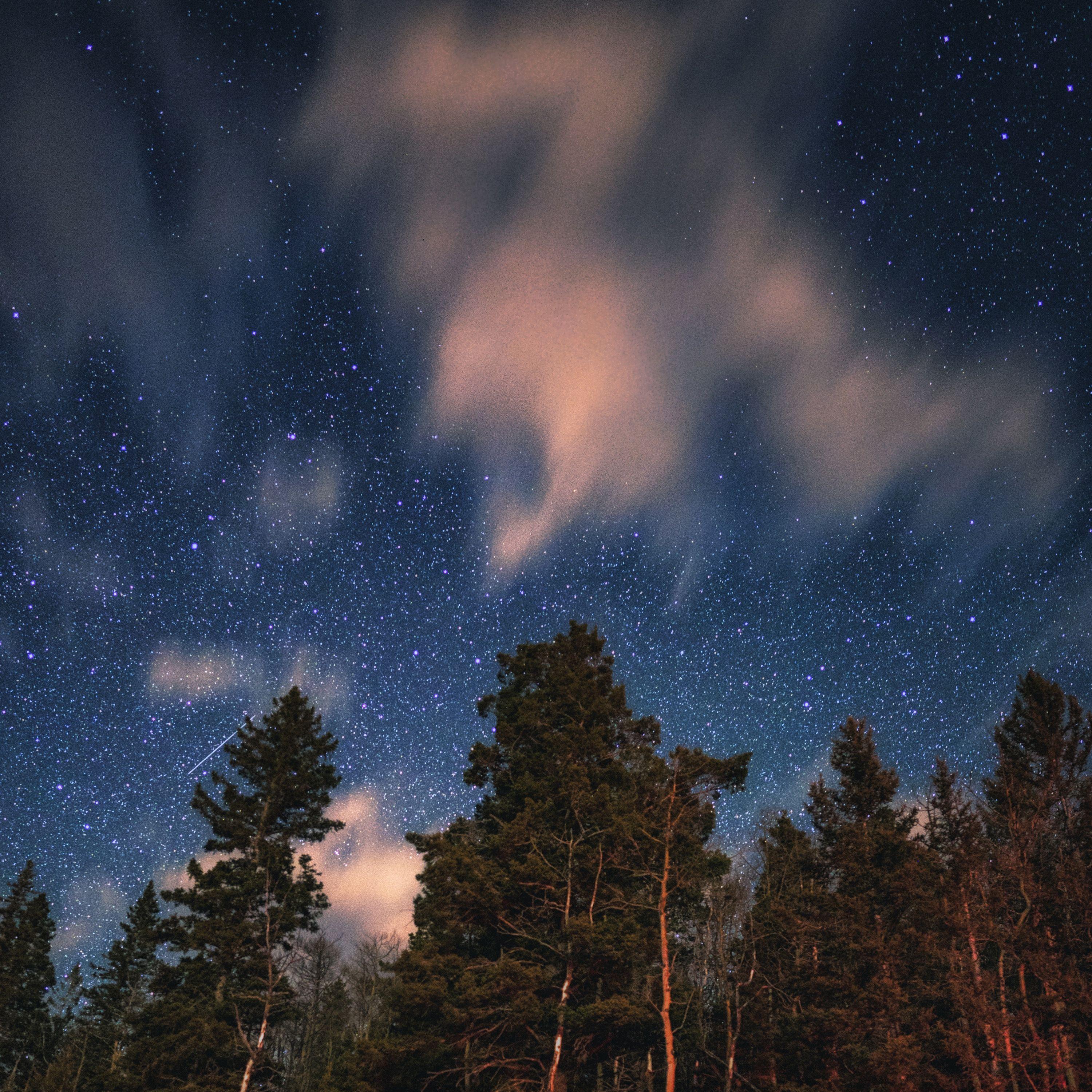 雨夜溪流 催眠曲5分钟入睡