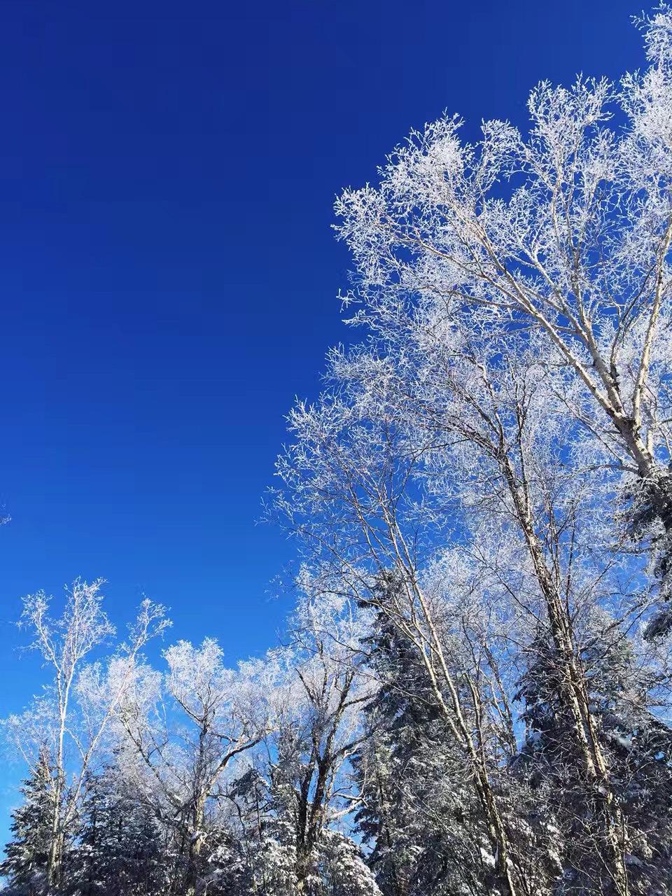 南下（原唱：徐海俏）专辑