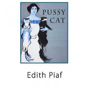 Pussy Cat