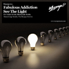 Fabulous Addiction - See the Light (DJ Danila Remix)