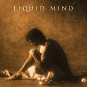 Liquid Mind