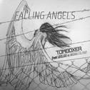 Falling Angels (Radio Mix)专辑