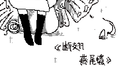 断翅燕尾蝶专辑