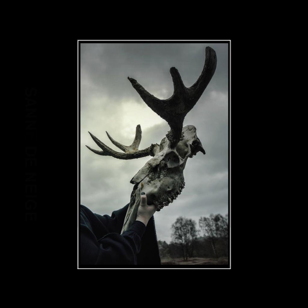 Dans La Forêt