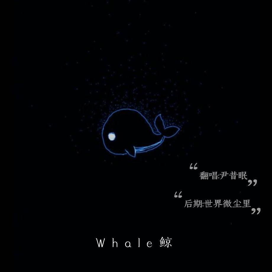 我生而为鲸，死而为寂——《Whale 鲸》
