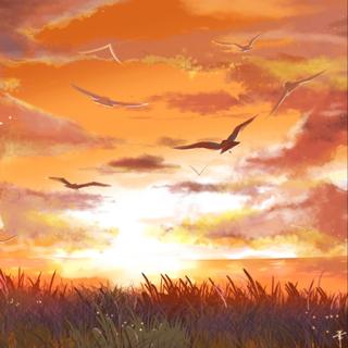 【纯音•听觉】静待于黄昏散去那时