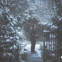 大雪专辑
