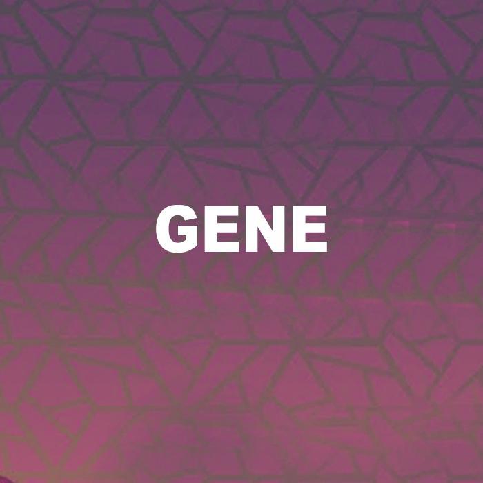 回炉重造之gene