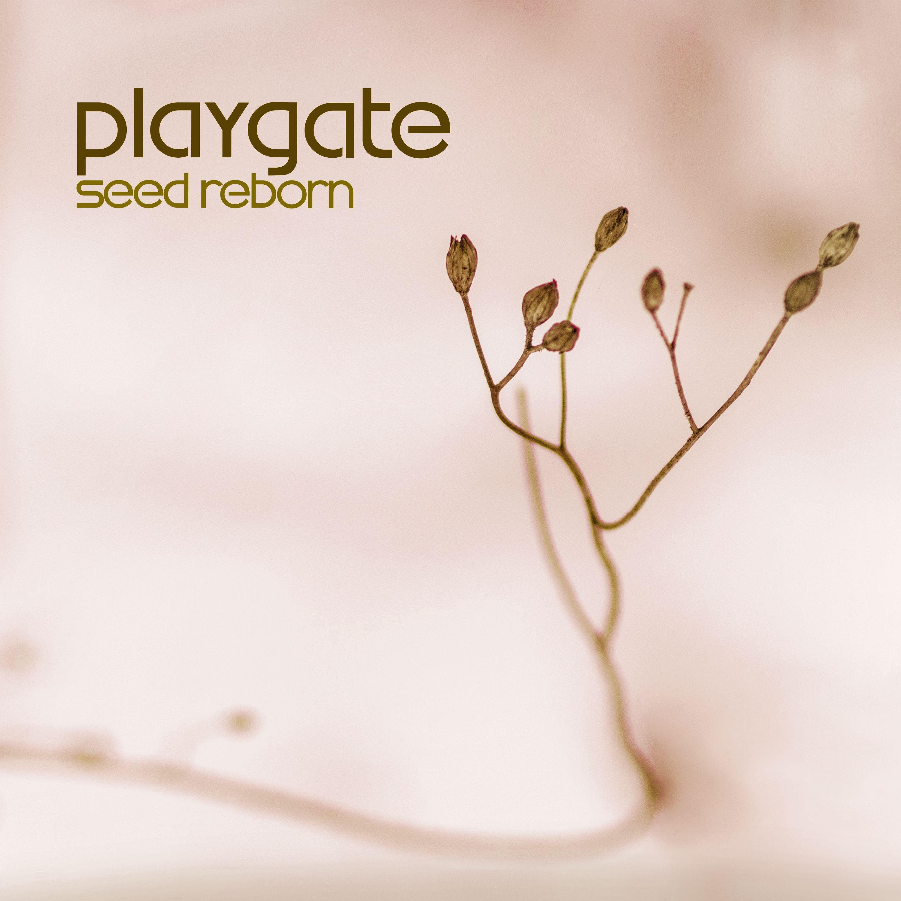 Playgate - Renegade Place