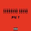 Big T - Surround Sound