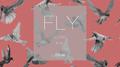 FLY专辑