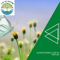 Snowcovered Cliff in Nature