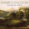 In Nature's Realm, Op. 91: Overture