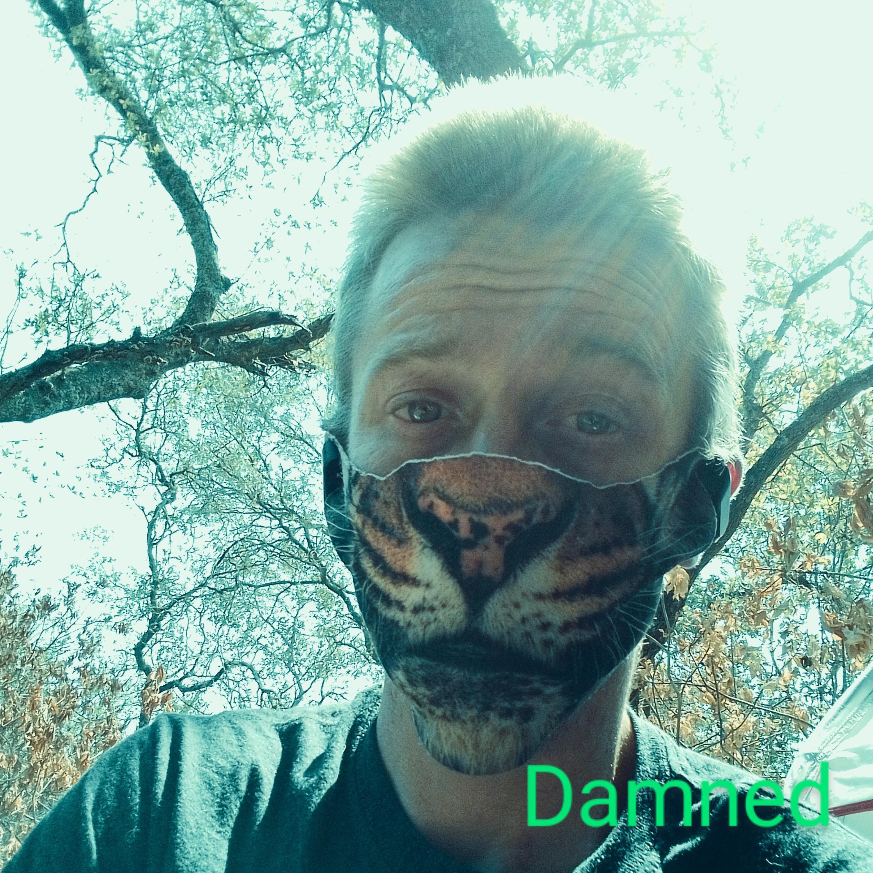 Damned