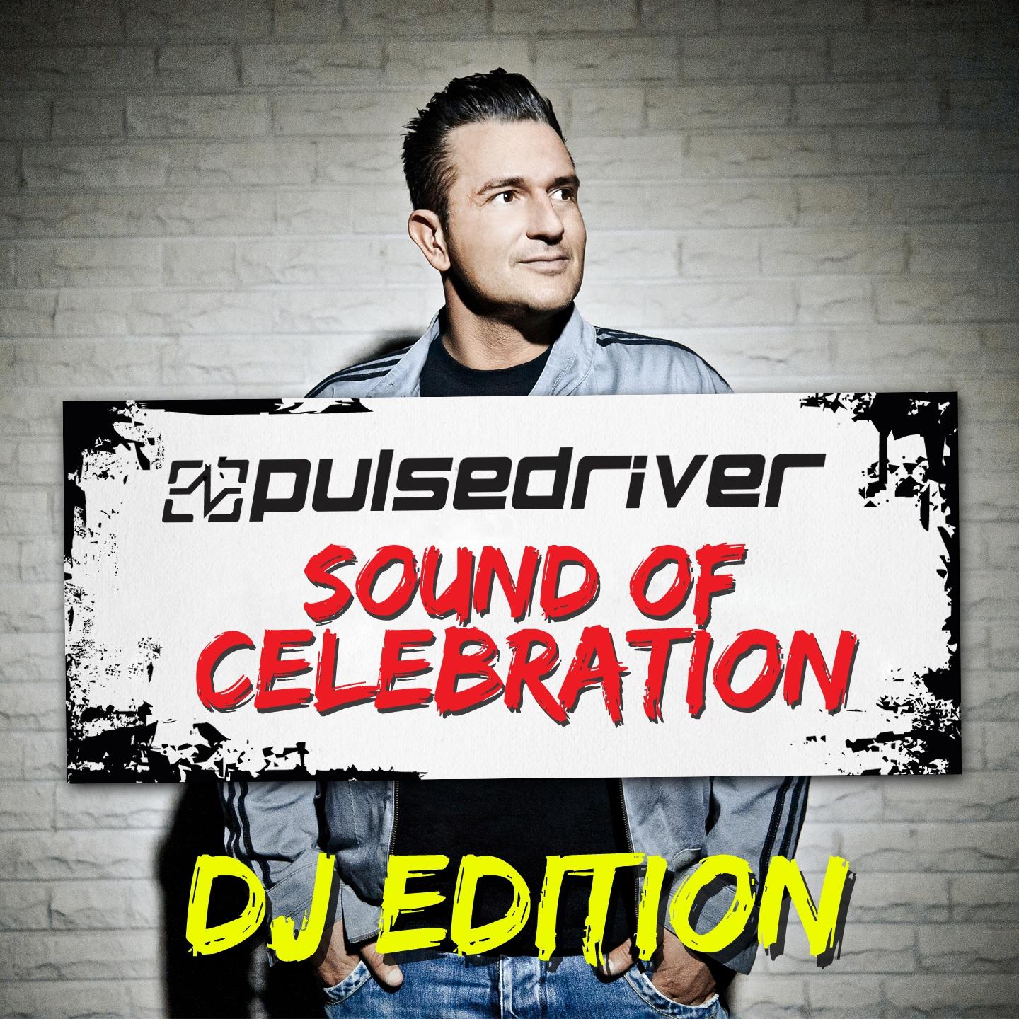 Sound Of Celebration (DJ Edition)专辑