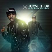 Turn It Up (feat. Sneakbo) [feat. Sneakbo]