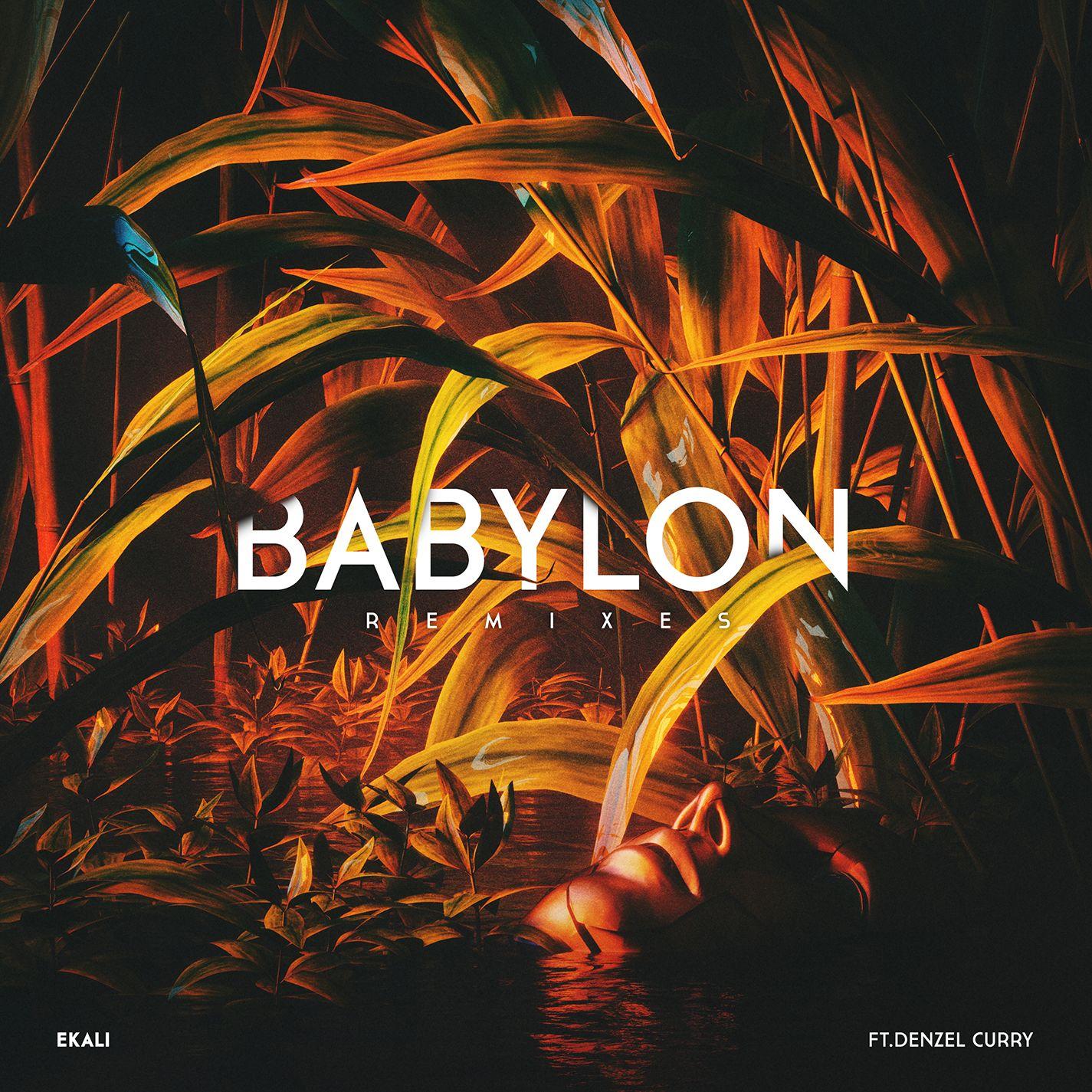 babylon (skrillex & ronny j remix)
