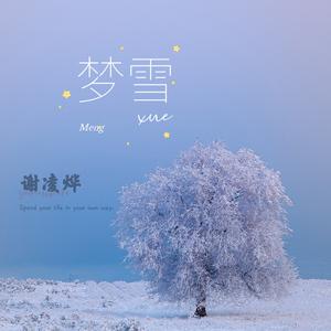 谢凌烨 - 梦雪