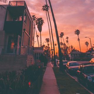 「驾驶」品味相投的人會互相吸引