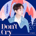 Don't Cry