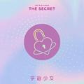 비밀이야 (Secret)是秘密啊（Cover）