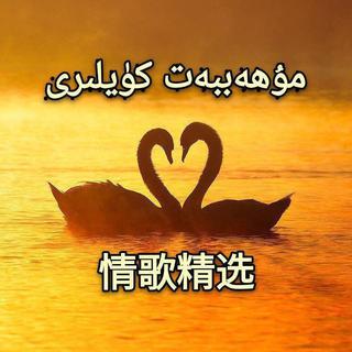 情歌精选 Muhebbet Kuyliri
