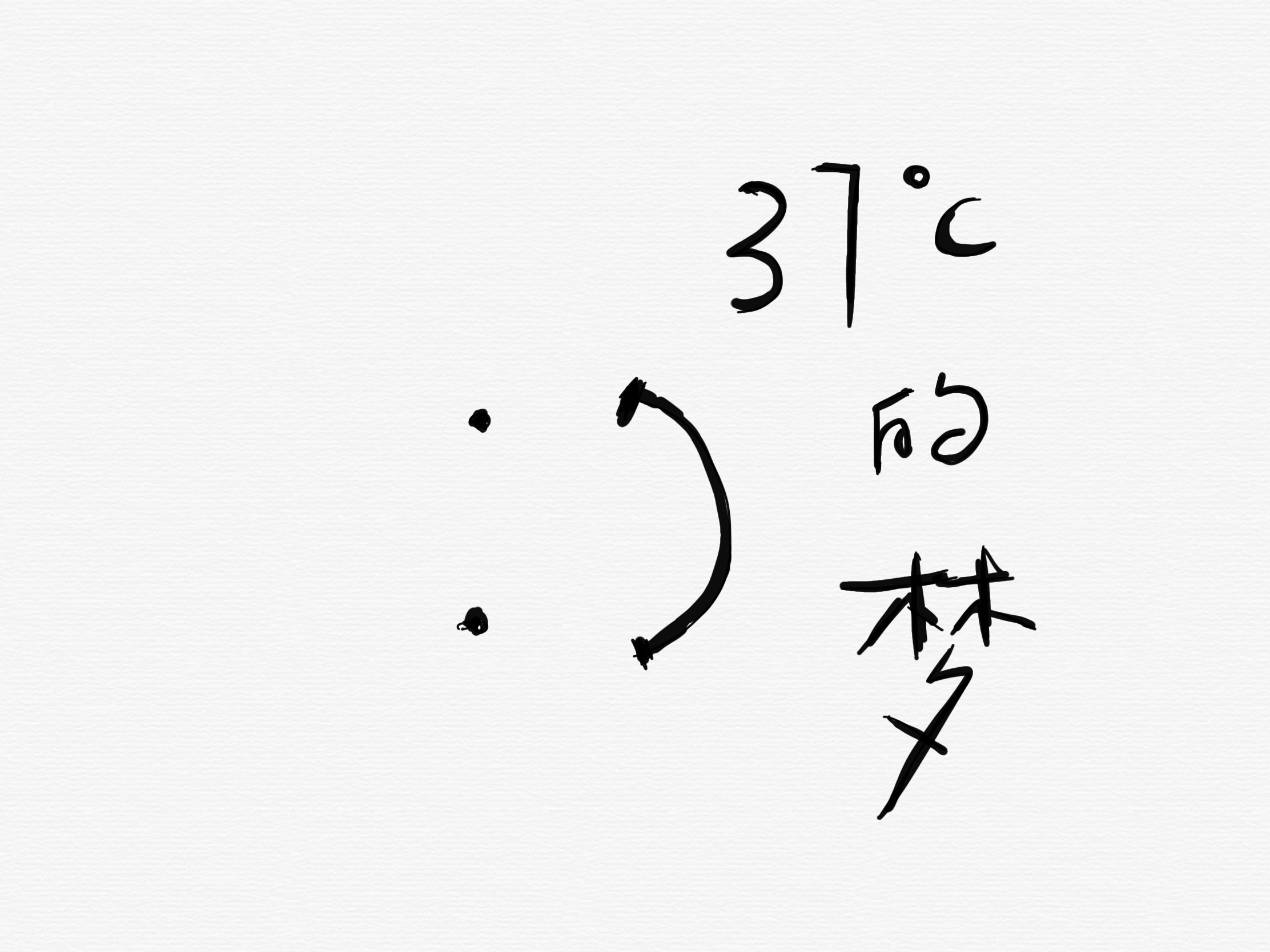 37 ℃的梦专辑