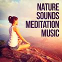 Nature Sounds Meditation Music专辑