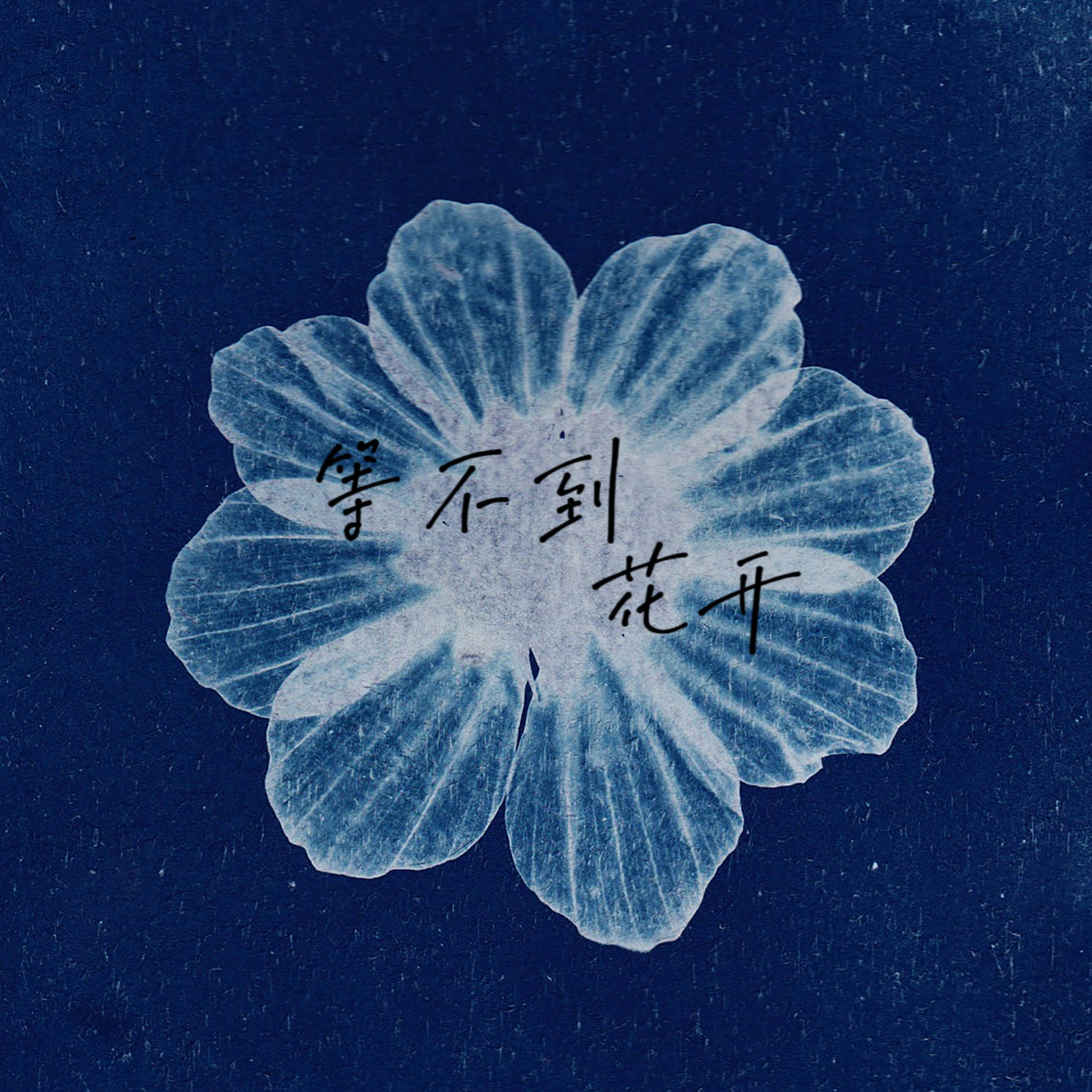 等不到花开