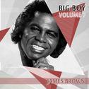 Big Boy James Brown, Vol. 7专辑