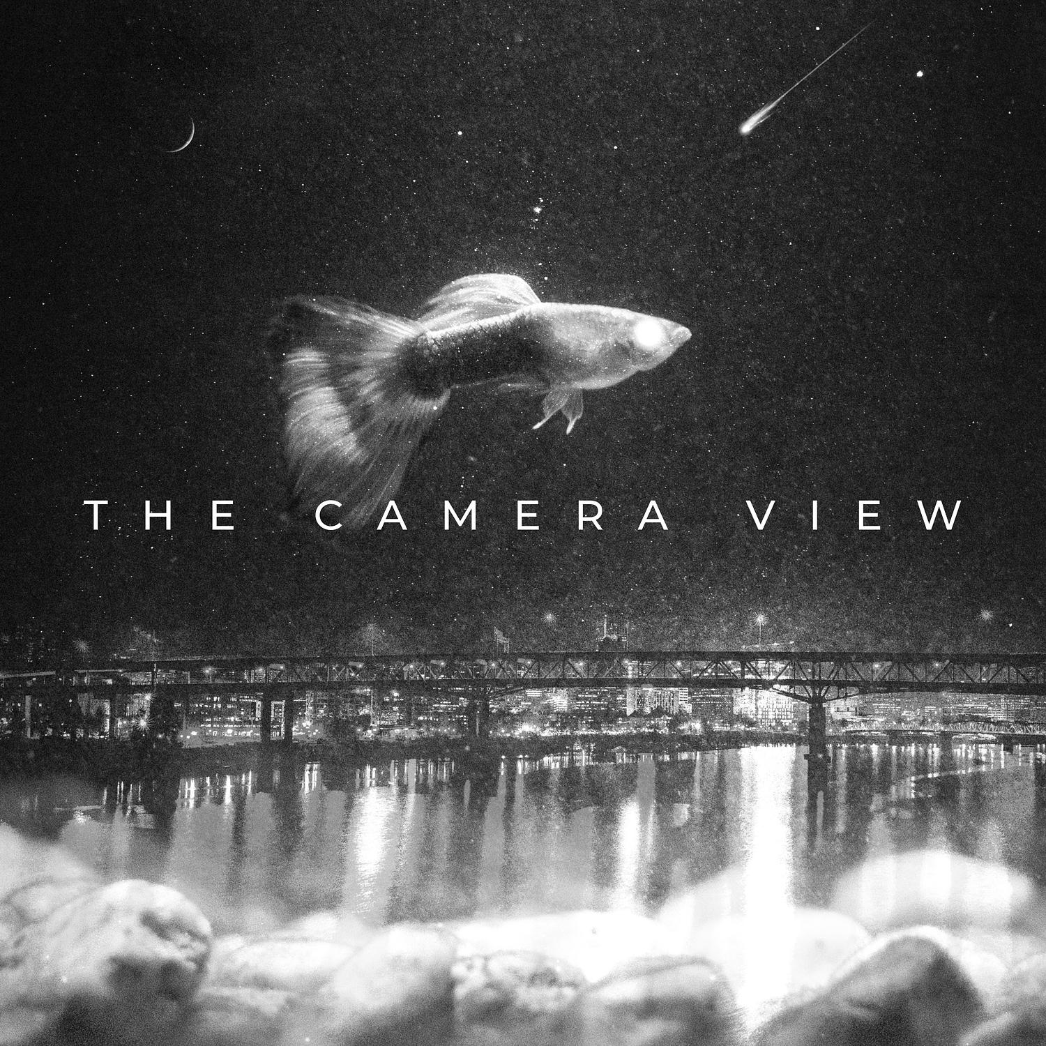 David C. Hewitt - The Camera View