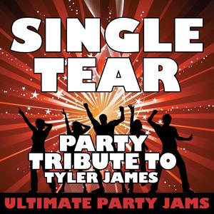 Tyler James - Single Tear （降8半音）