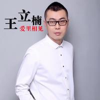 王立楠 - 爱里相见(原版立体声伴奏)