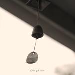 Echoes of the Seasons专辑